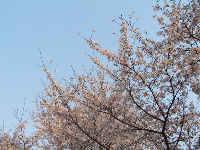 pict0010-2.jpg