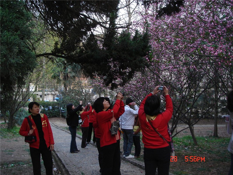 dsc00351_.jpg