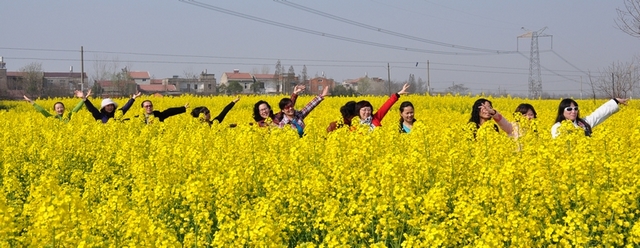 dsc0388.jpg