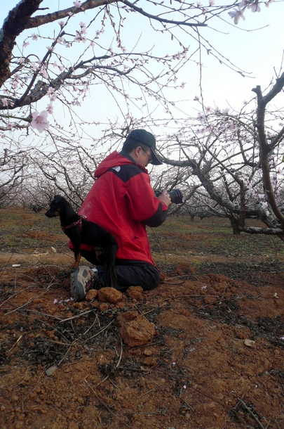 p1100253.jpg