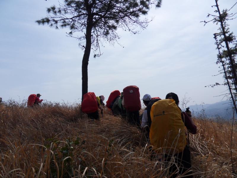 sdc10007.jpg