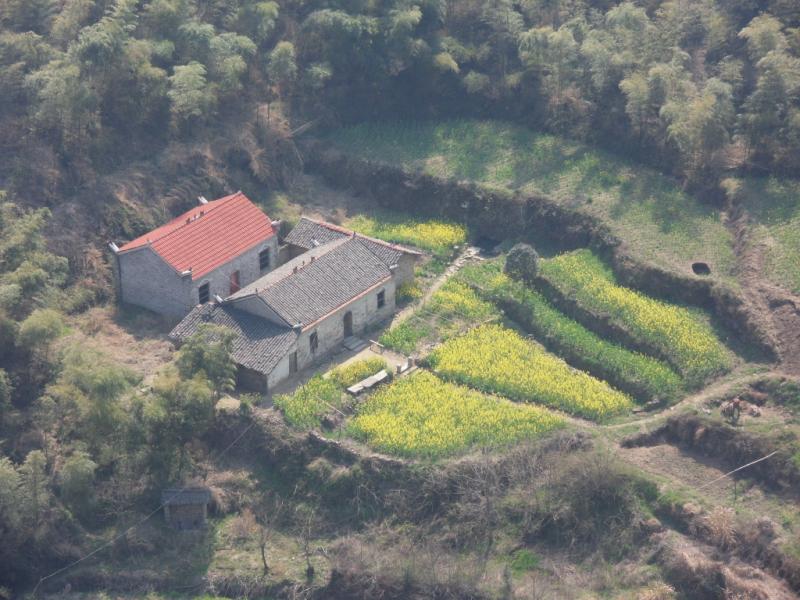 sdc10088.jpg