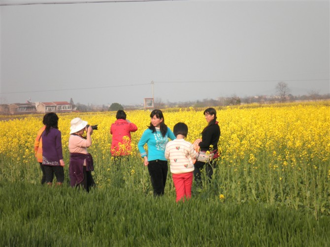 20110327.jpg