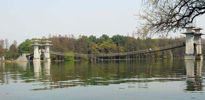 dsc01317-1.jpg