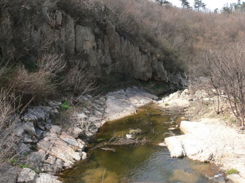 p1130830.jpg