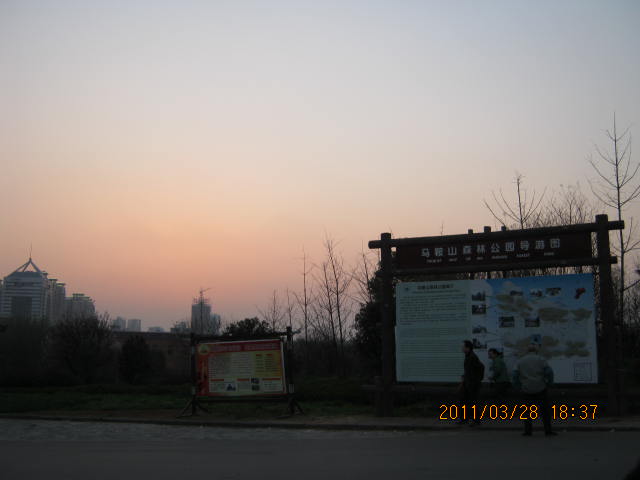 img_1753.jpg