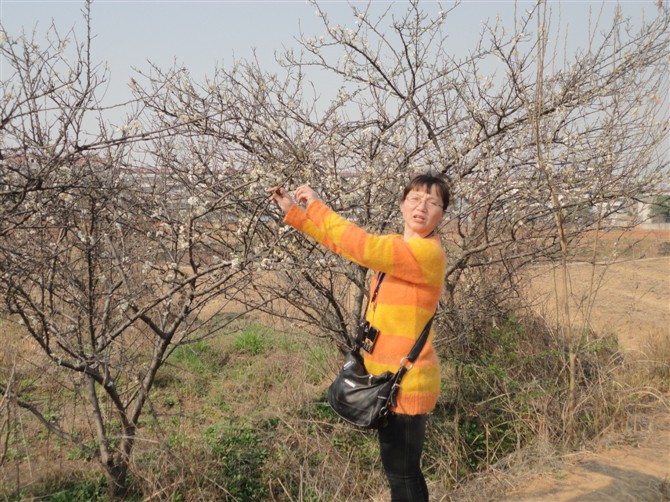 01.jpg