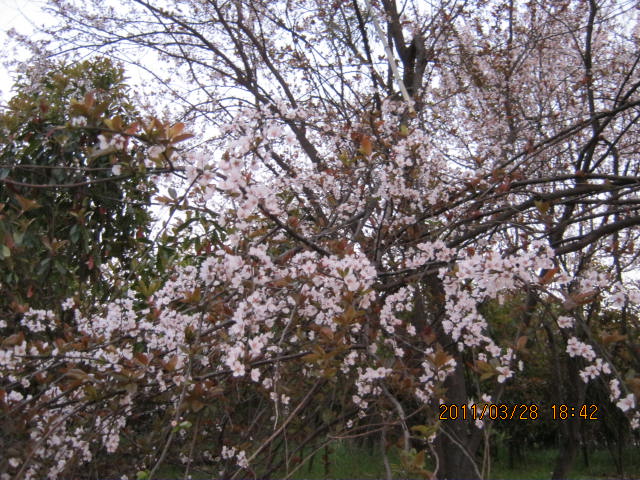 img_1758.jpg