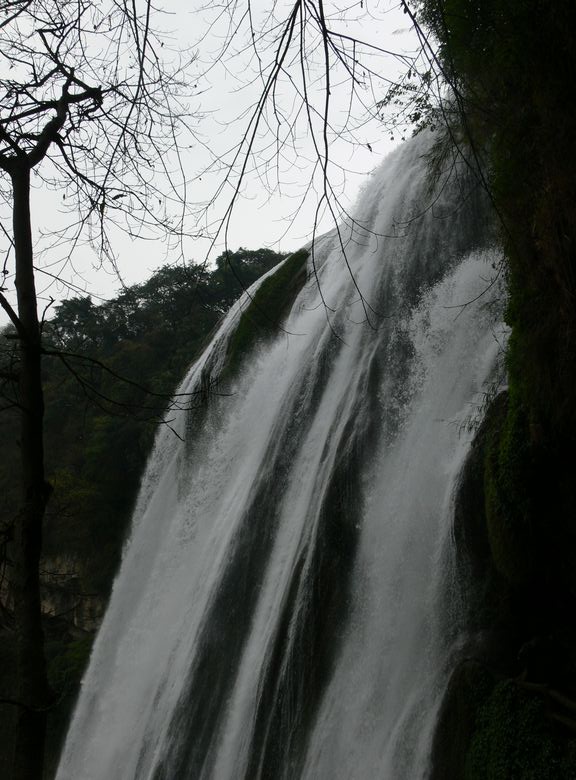 p1120754.jpg