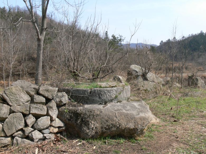 p1130832.jpg