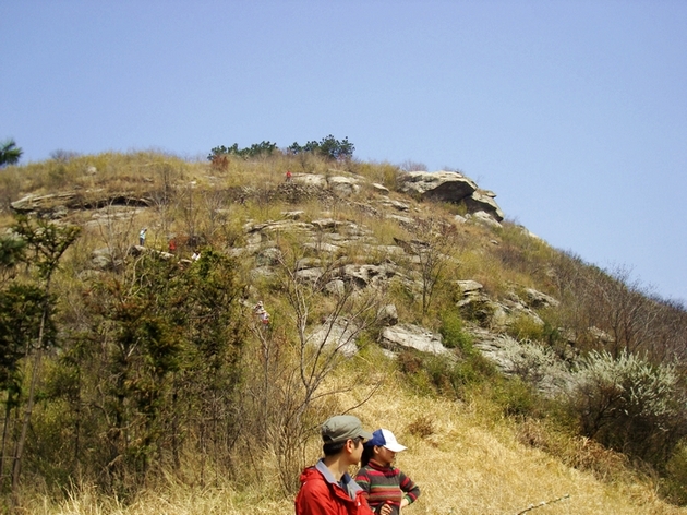 neo_img_dsc09241.jpg