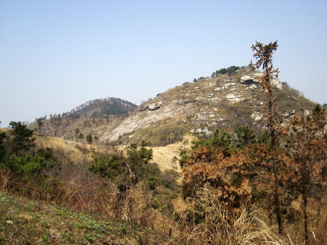 neo_img_dsc09256.jpg
