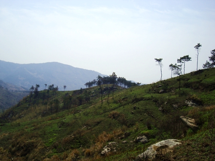 neo_img_dsc09262.jpg
