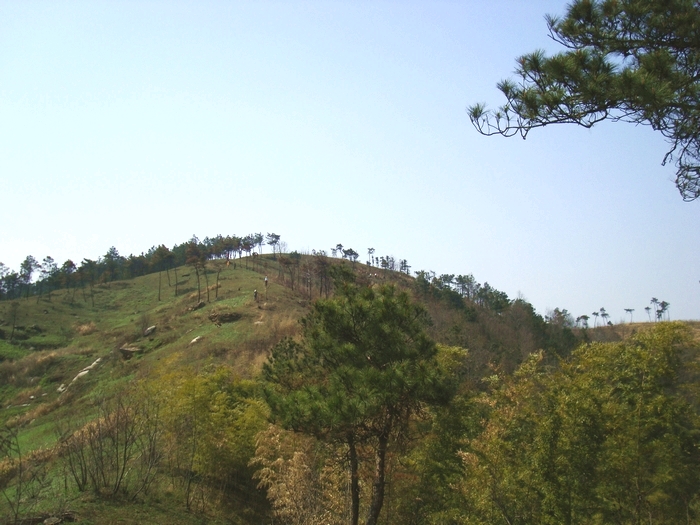neo_img_dsc09265.jpg
