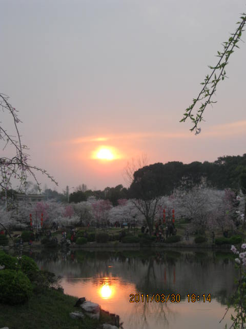 img_1809.jpg