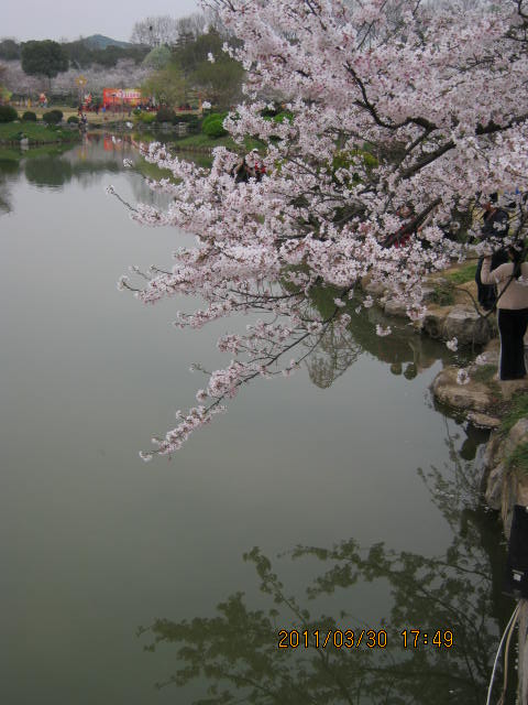 img_1790.jpg