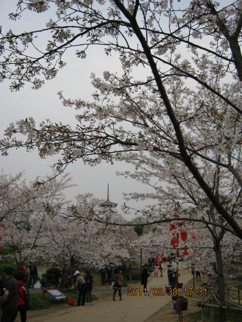 img_1776.jpg