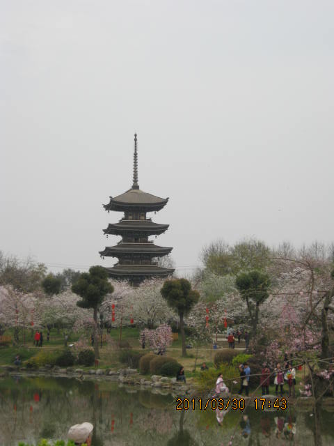 img_1785.jpg