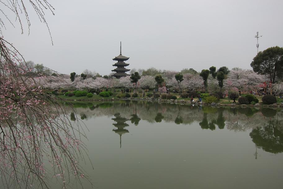 198-5.jpg