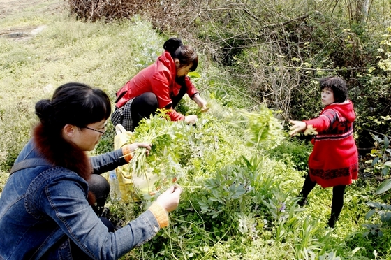 _mg_9839----------0.jpg