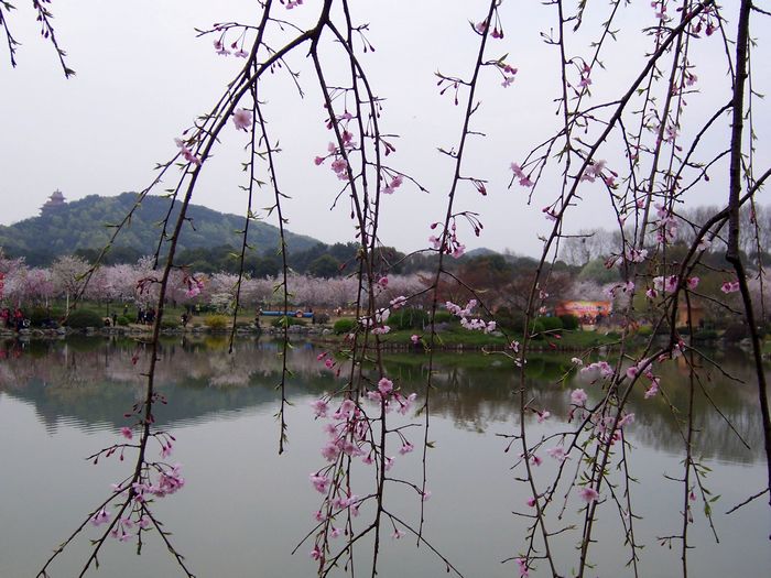 100_8506.jpg