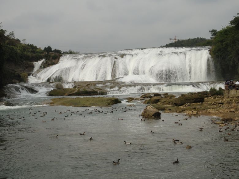 dsc03217.jpg
