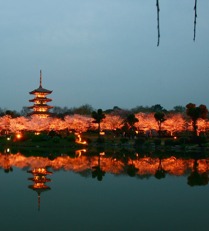 20113ϵӣ԰ 088.jpg
