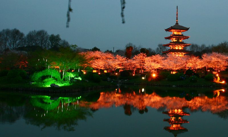 20113ϵӣ԰ 088-1.jpg