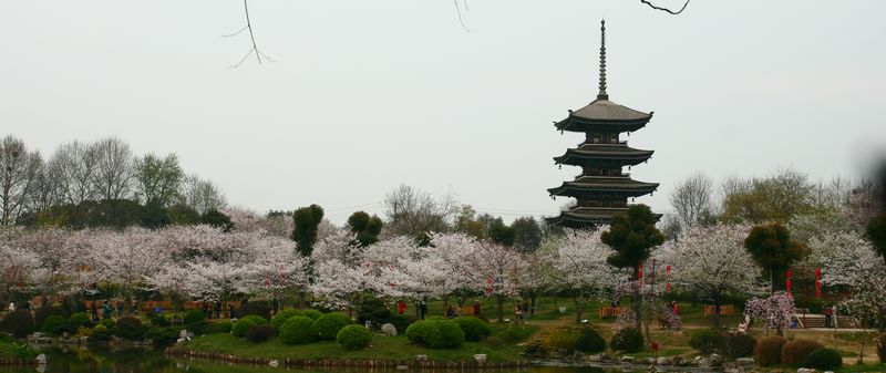 20113ϵӣ԰ 074-1.jpg