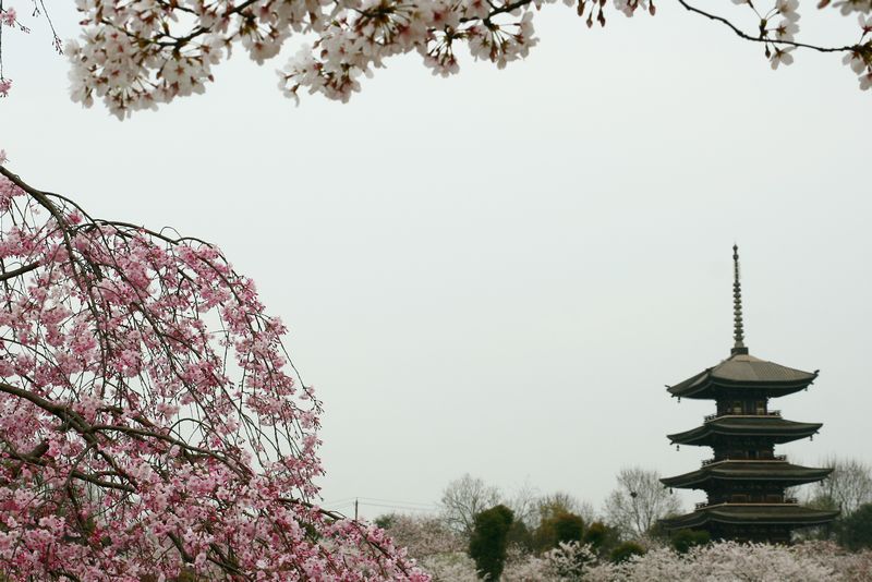 20113ϵӣ԰ 068-1.jpg