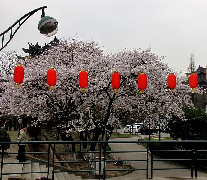 Ƭ 058.jpg