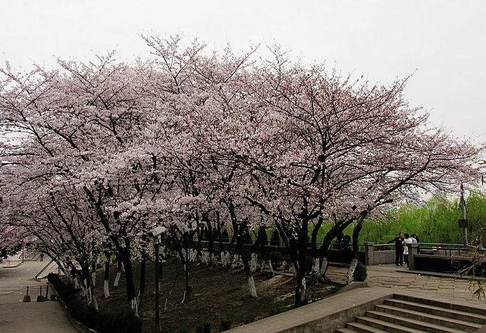 Ƭ 059.jpg