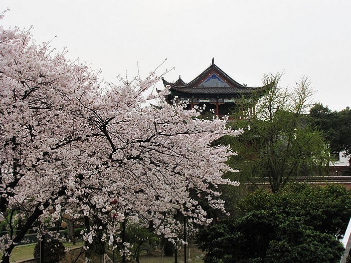 Ƭ 061.jpg
