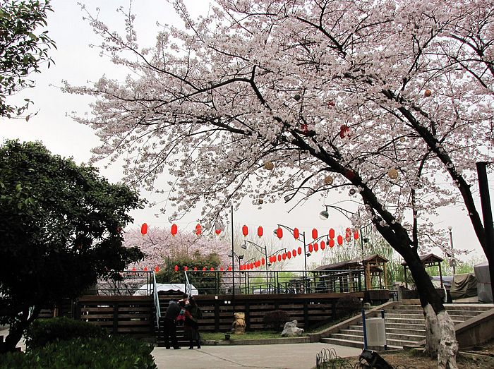 Ƭ 065.jpg