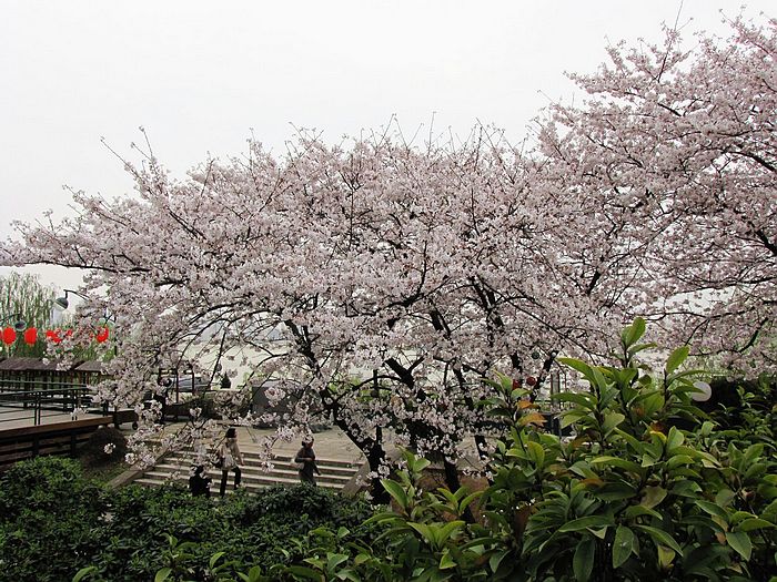 Ƭ 067.jpg