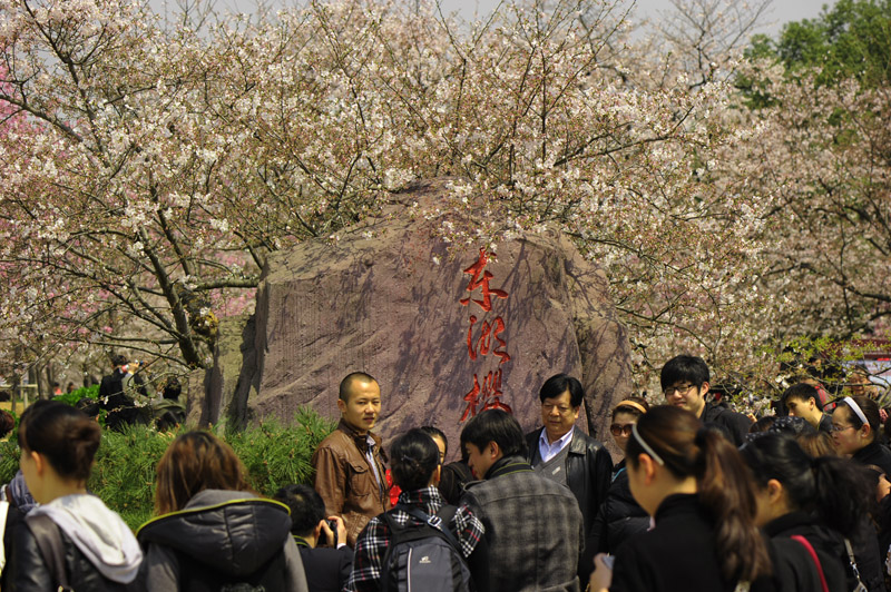 dsc_5816a.jpg