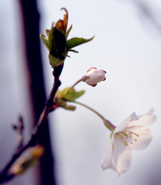 dsc_5605a.jpg