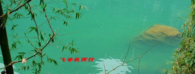 201122223101065921.jpg