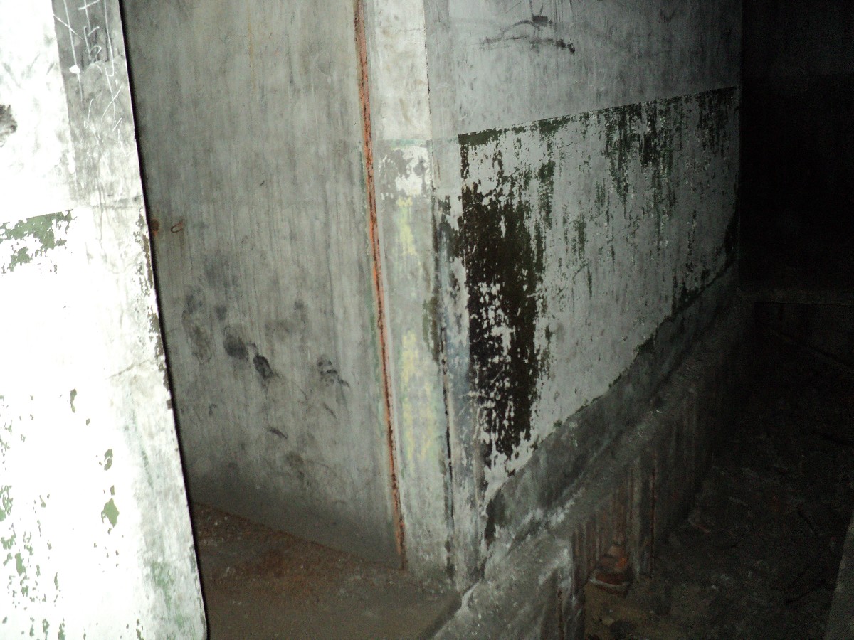 dsc02474.jpg