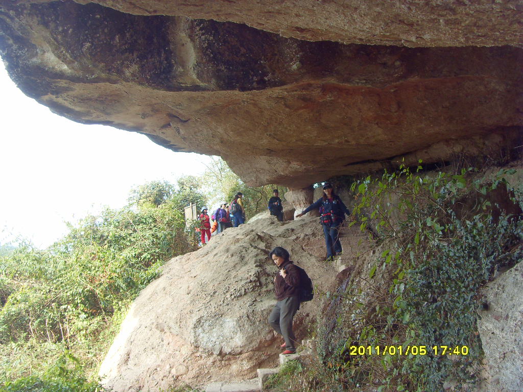 sdc11203.jpg