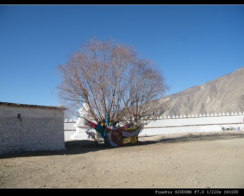 dscf3180.jpg