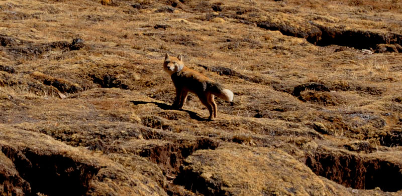dsc_0876.jpg