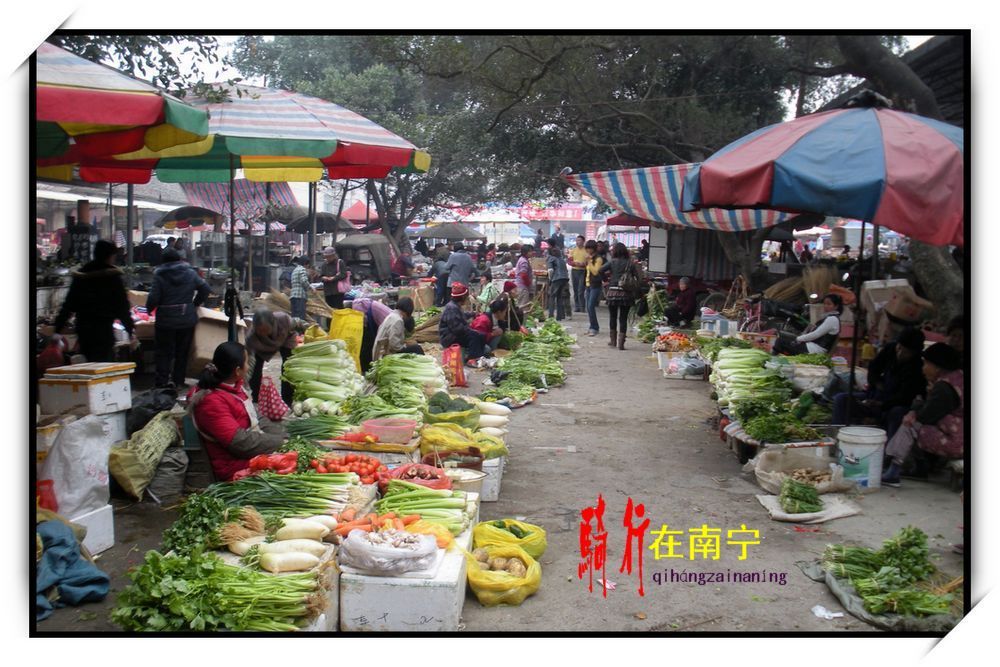 dscn2906.jpg