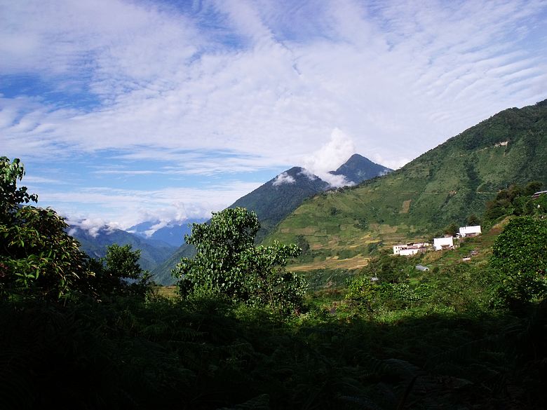 dscf9305.jpg