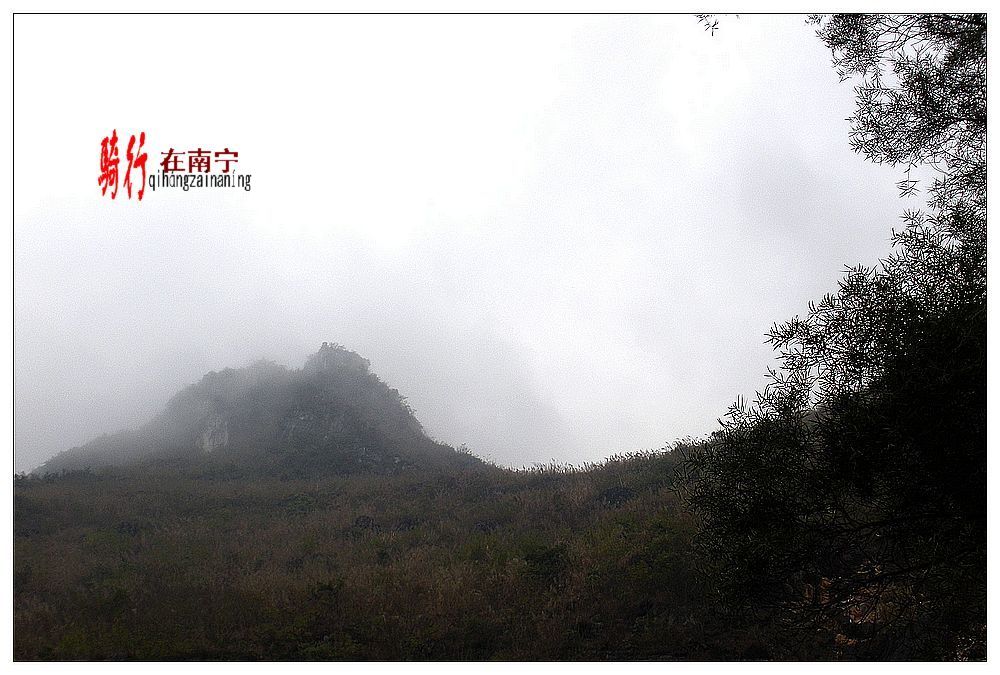 dscn2957.jpg