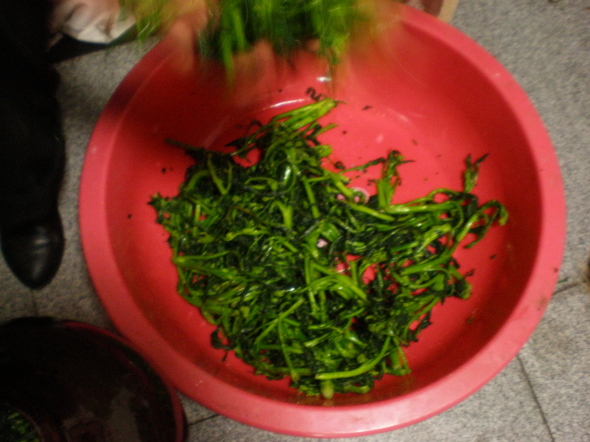 20110304_03.jpg