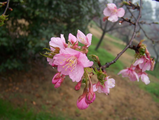 100_8645.jpg