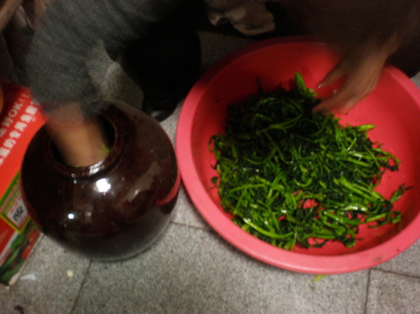 20110304_02.jpg