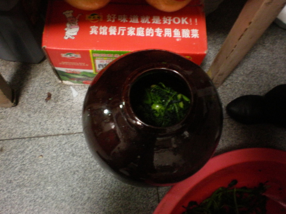 20110304_04.jpg