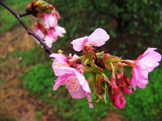 100_8649.jpg